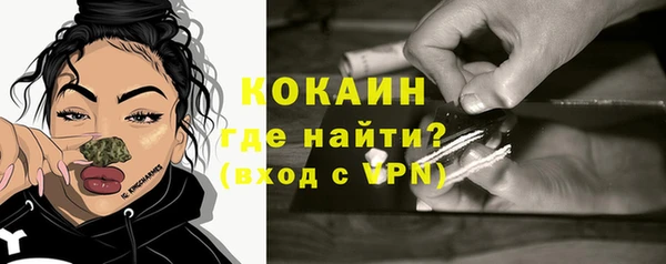 твердый Гусь-Хрустальный