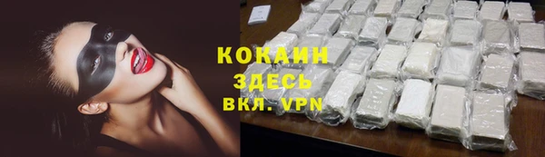 МДПВ Гусев