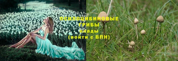 твердый Гусь-Хрустальный