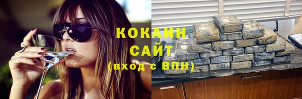 МДПВ Гусев