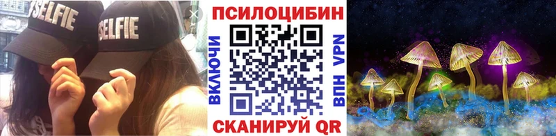 Псилоцибиновые грибы Psilocybine cubensis  Жердевка 